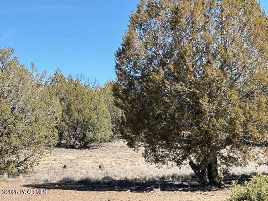 Photo of 3963 Gerry Lane, Williams, AZ 86046 (MLS # 1079963)