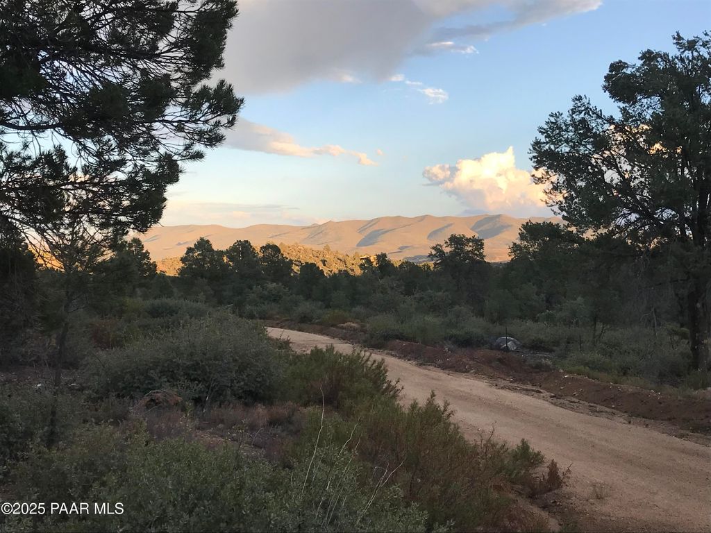 Photo of 00000 W Buckhorn - V Drive, Peeples Valley, AZ 86332 (MLS # 1076716)
