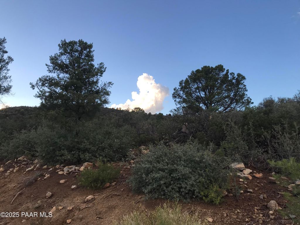 Photo of 00000 W Buckhorn - V Drive, Peeples Valley, AZ 86332 (MLS # 1076716)