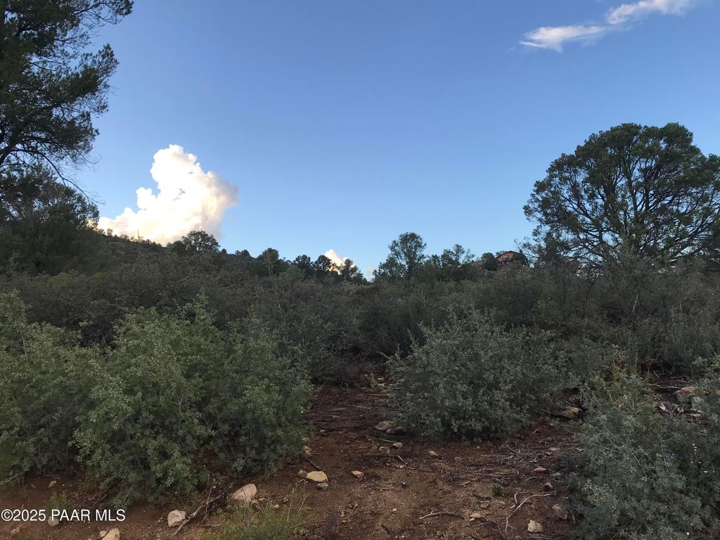 Photo of 00000 W Buckhorn - V Drive, Peeples Valley, AZ 86332 (MLS # 1076716)