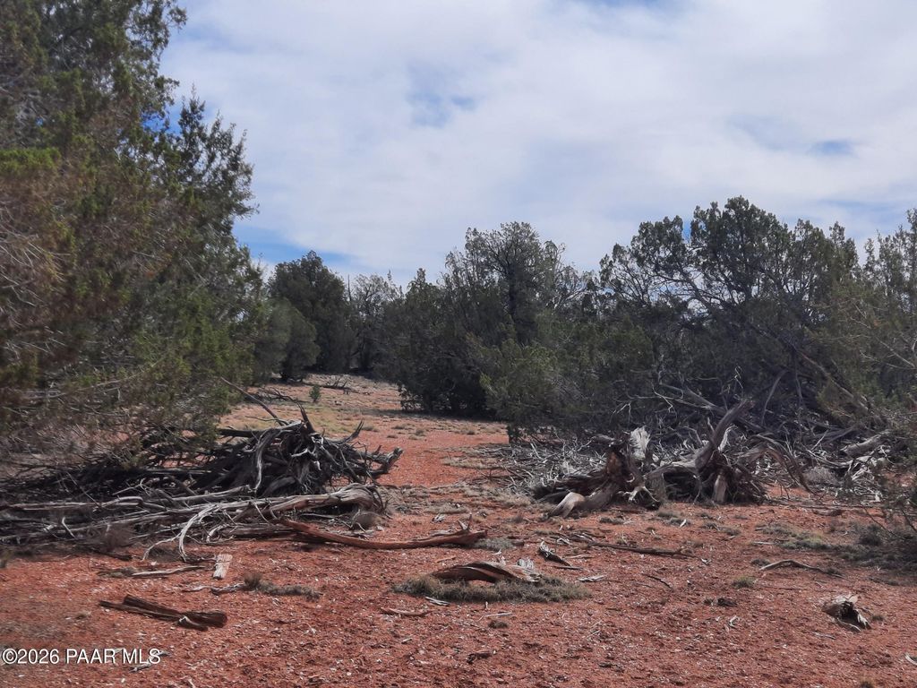 Photo of 54255 N Castano Road, Seligman, AZ 86337 (MLS # 1080874)