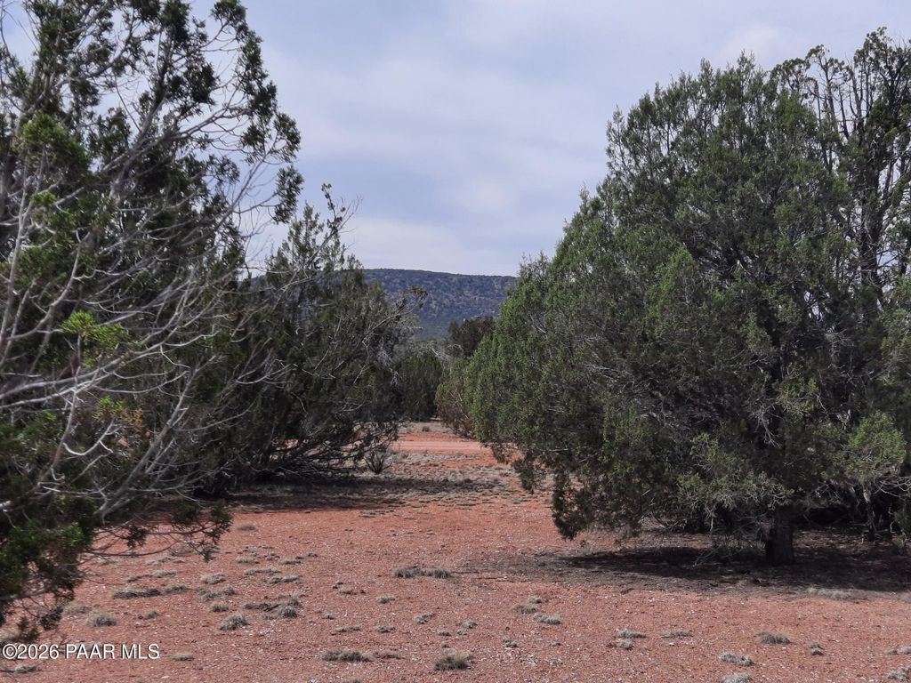 Photo of 54255 N Castano Road, Seligman, AZ 86337 (MLS # 1080874)