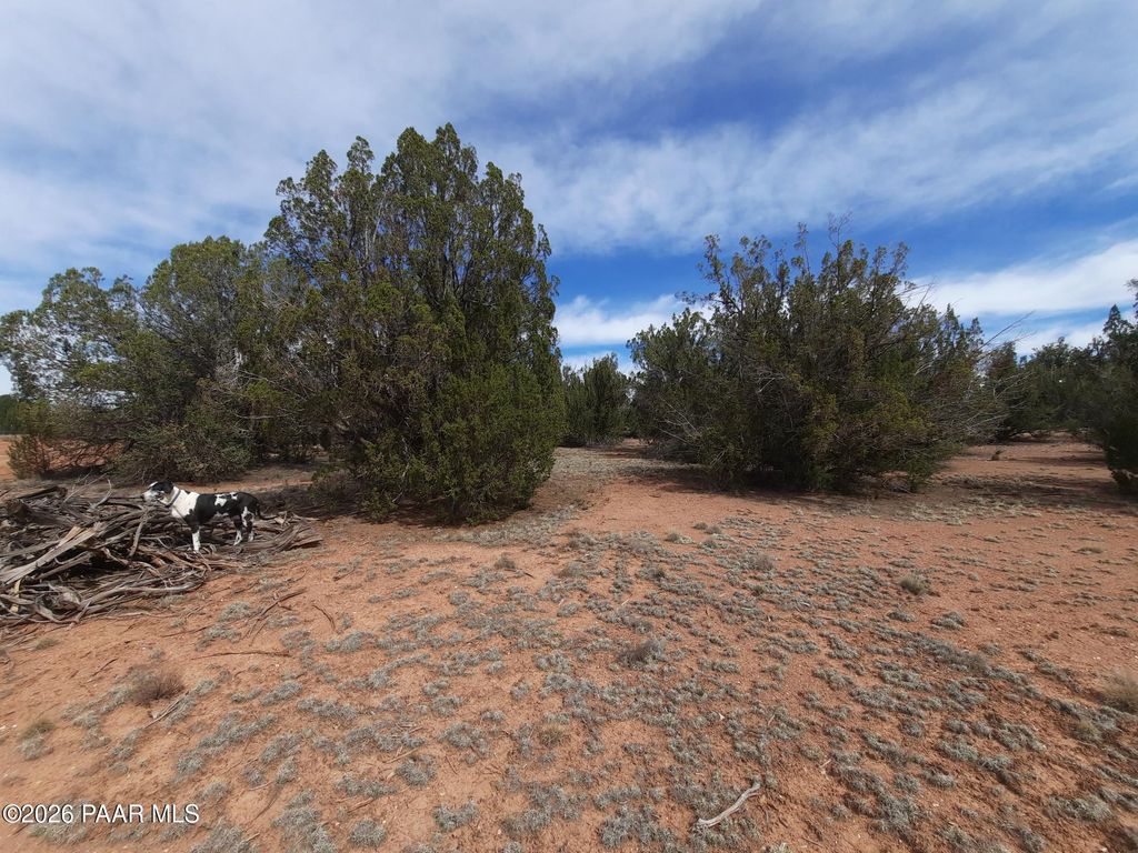Photo of 54255 N Castano Road, Seligman, AZ 86337 (MLS # 1080874)