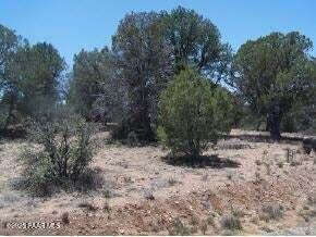 13590 Indian Pony Trail