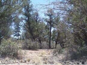 13590 Indian Pony Trail