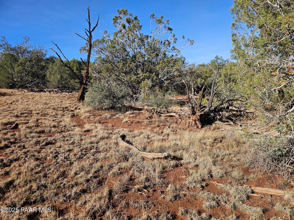 Photo of 54892 N Potrero Lane, Seligman, AZ 86337 (MLS # 1078048)