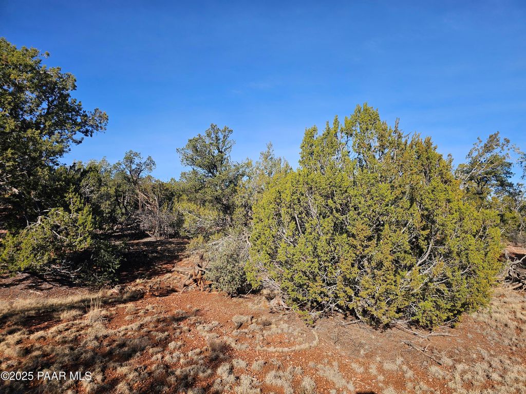 Photo of 54892 N Potrero Lane, Seligman, AZ 86337 (MLS # 1078048)