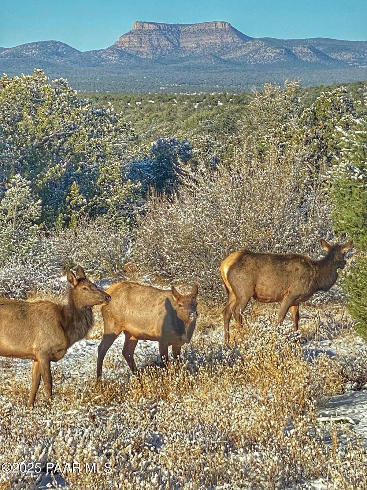 01 N Boulder Ridge