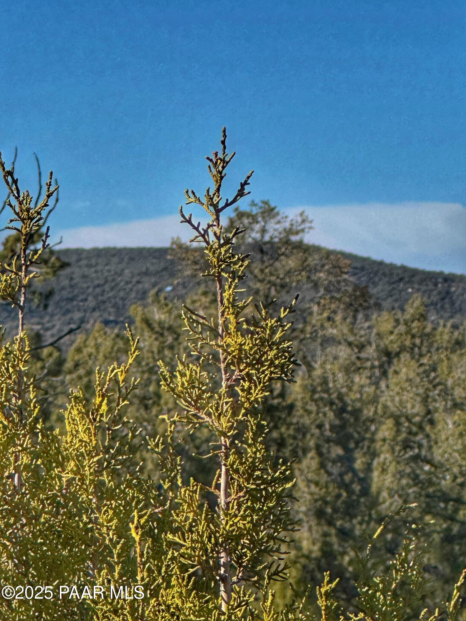 01 N Boulder Ridge