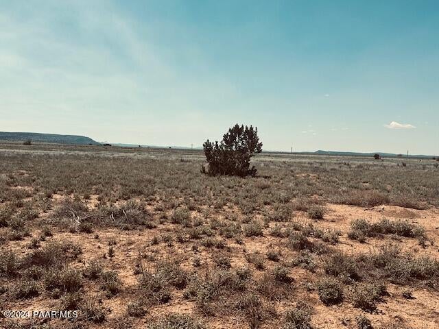 Photo of 28581 W Hondo Road, Seligman, AZ 86337 (MLS # 1083342)