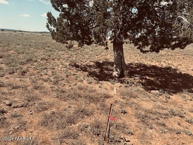Photo of 28581 W Hondo Road, Seligman, AZ 86337 (MLS # 1083342)