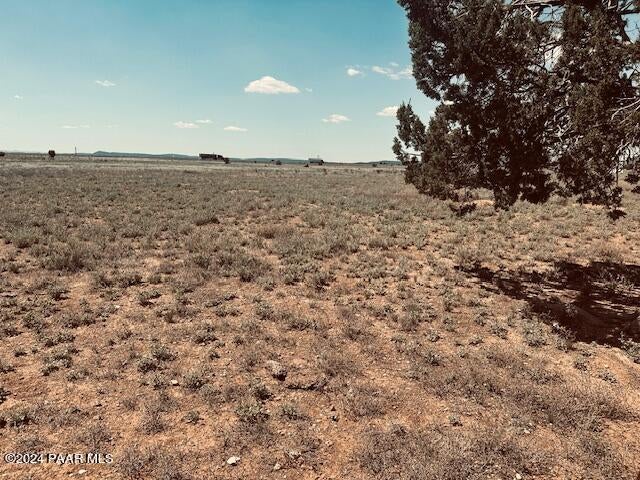 Photo of 28581 W Hondo Road, Seligman, AZ 86337 (MLS # 1083342)