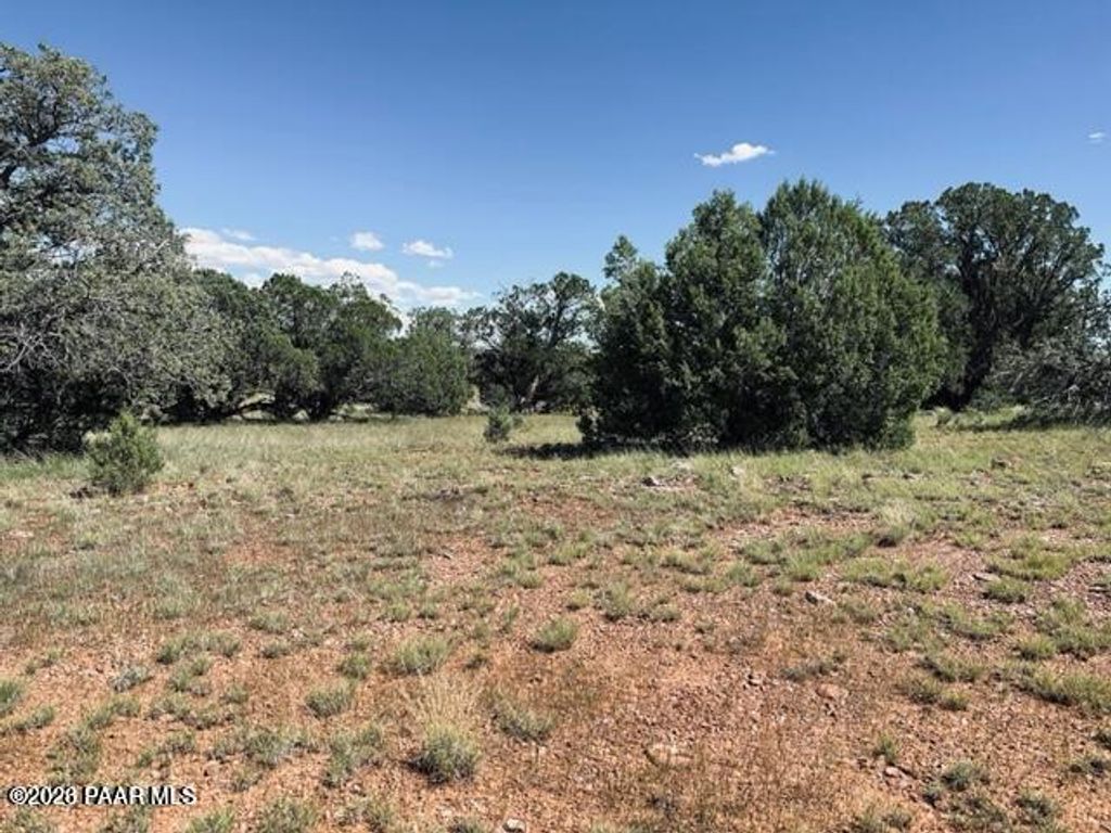 Photo of 89 Arrow Way, Seligman, AZ 86337 (MLS # 1081895)