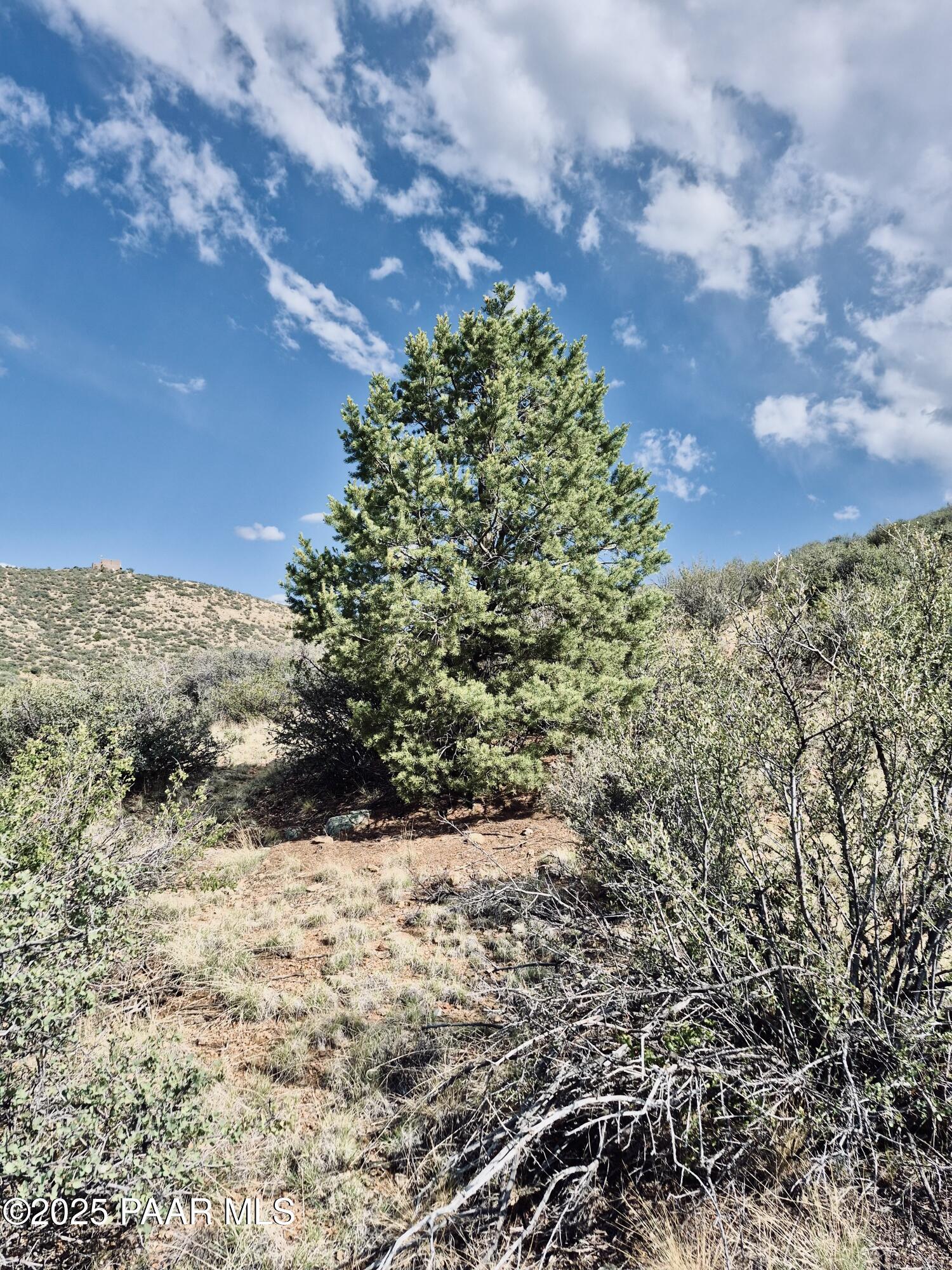 11425 E Mingus Vista Drive