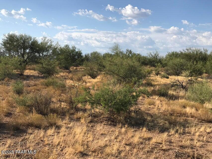 29670 S State Route 89