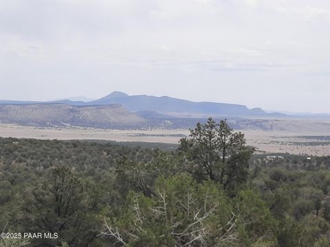 49203 N Sundance Way Seligman AZ 86337