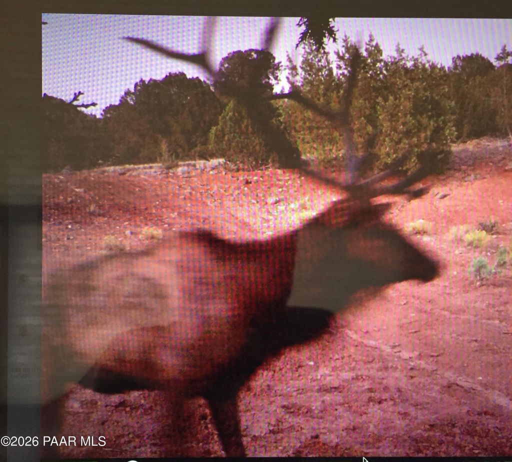 Photo of 5479 N Ten Tanks Road, Williams, AZ 86046 (MLS # 1080322)