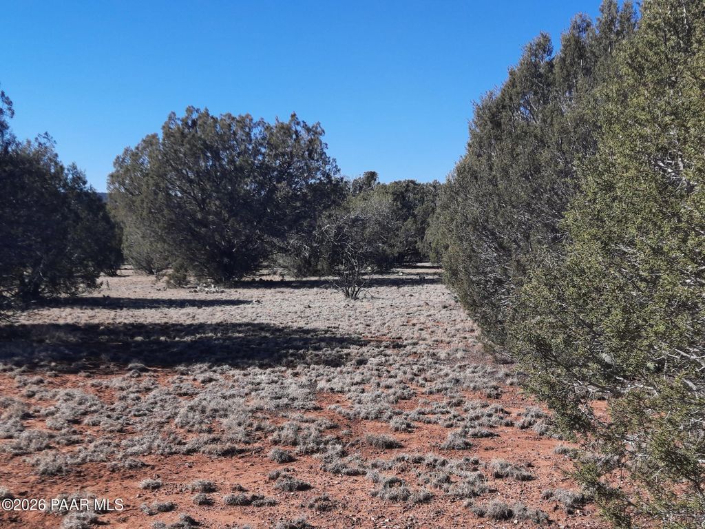 Photo of 33175 Cowboy Clint Way, Seligman, AZ 86337 (MLS # 1078829)