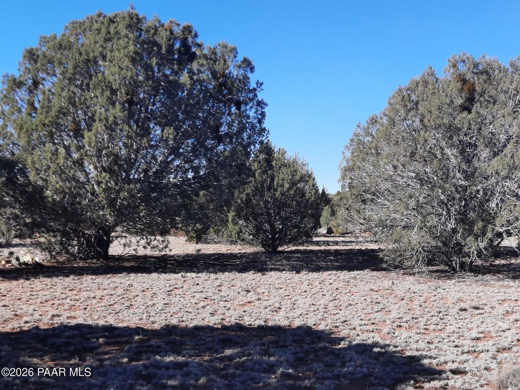 Photo of 33175 Cowboy Clint Way, Seligman, AZ 86337 (MLS # 1078829)