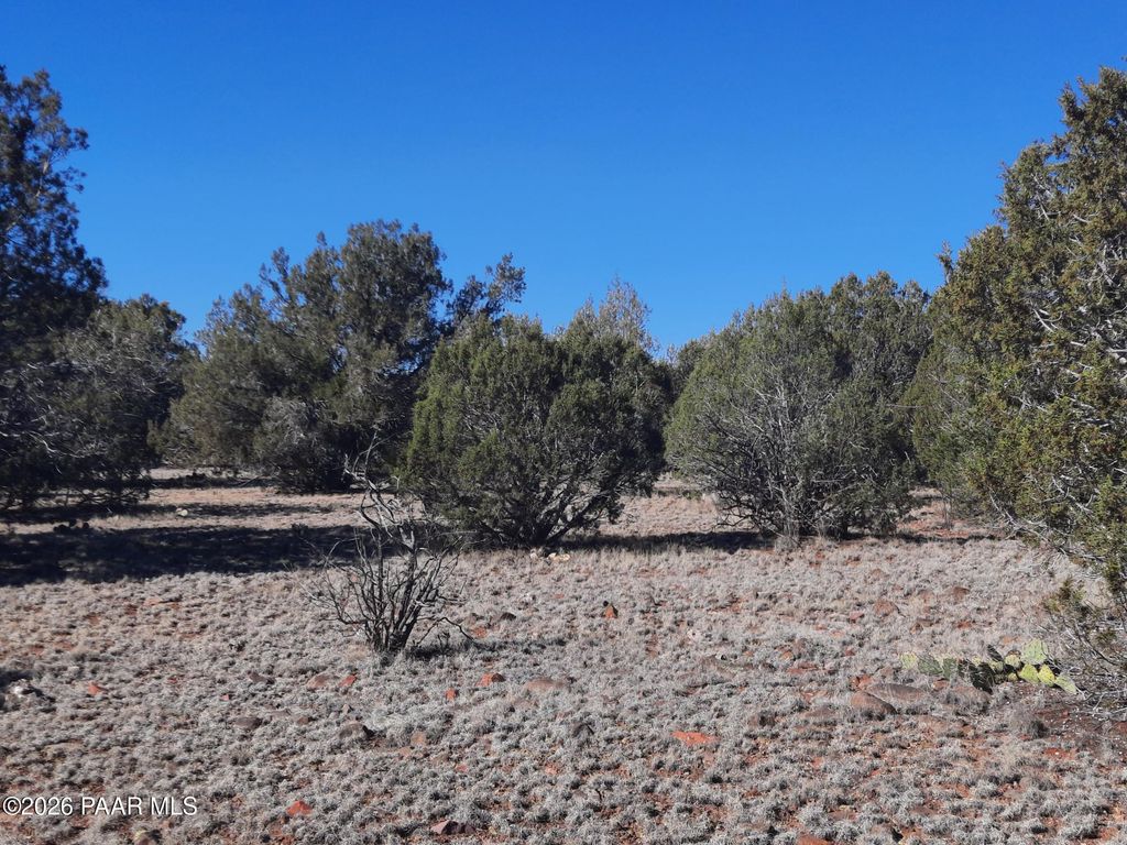 Photo of 33175 Cowboy Clint Way, Seligman, AZ 86337 (MLS # 1078829)