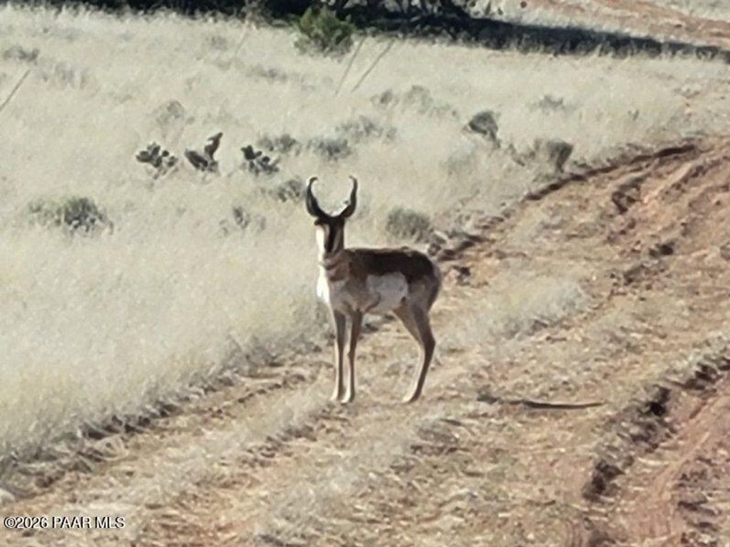 Photo of 293 N Flaming Star Drive, Seligman, AZ 86337 (MLS # 1081488)