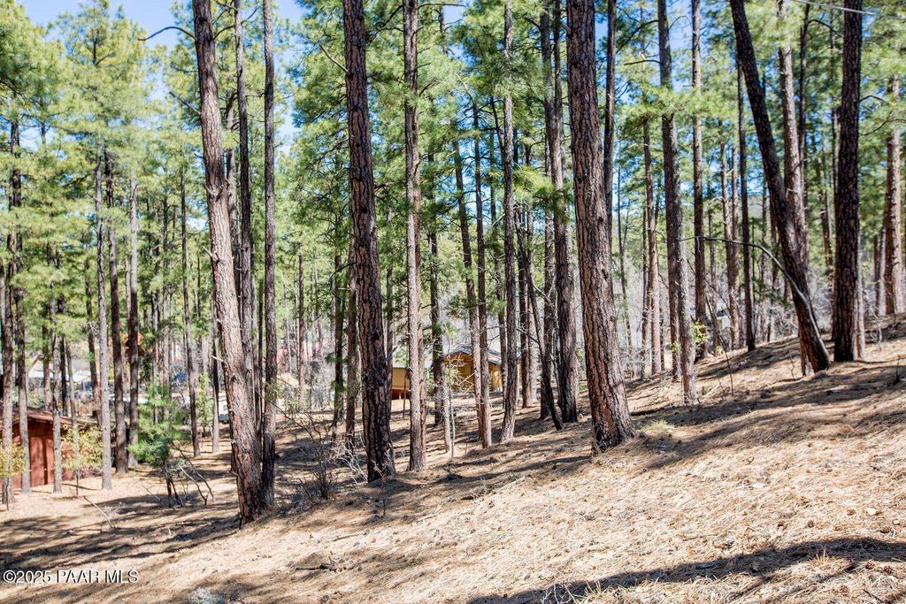 Photo of 4573 S Loma Drive, Prescott, AZ 86303 (MLS # 1077663)