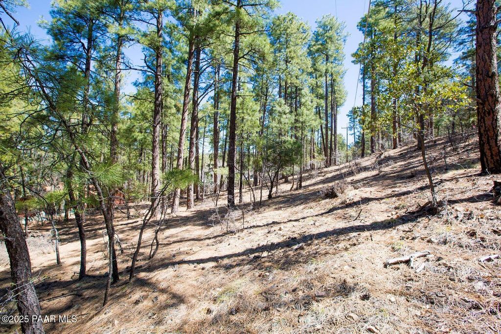 Photo of 4573 S Loma Drive, Prescott, AZ 86303 (MLS # 1077663)