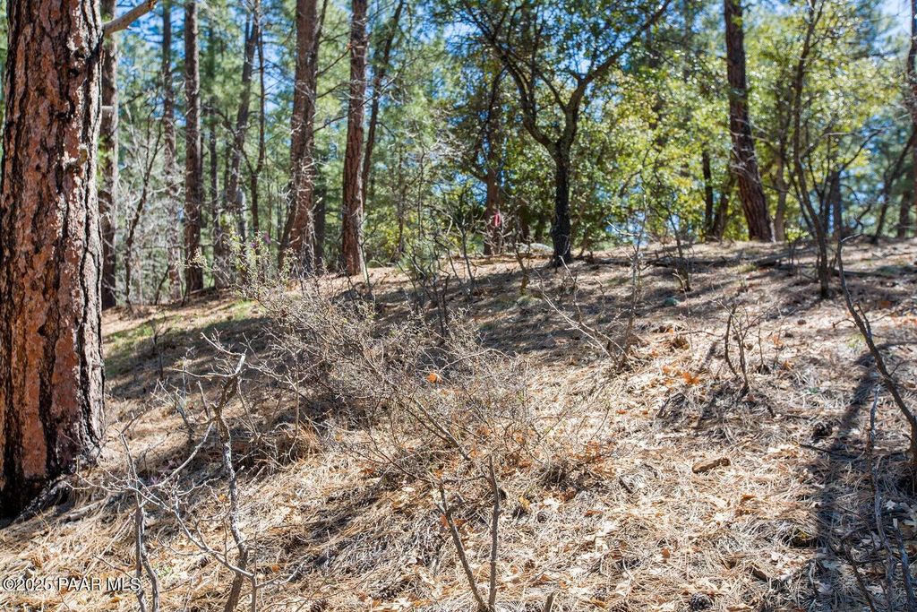 Photo of 4573 S Loma Drive, Prescott, AZ 86303 (MLS # 1077663)
