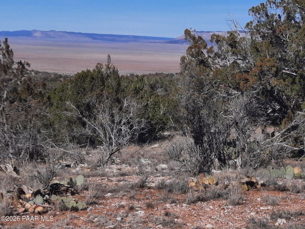 Photo of 928 Bridge Canyon Pkwy, Seligman, AZ 86337 (MLS # 1078928)