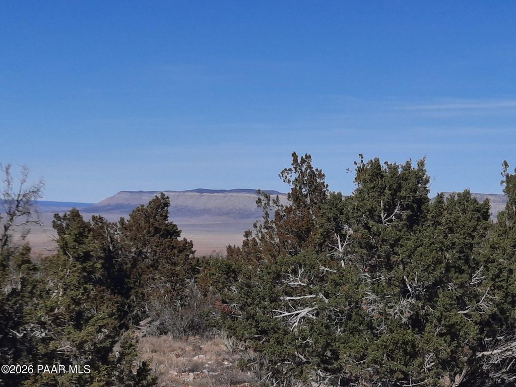 Photo of 928 Bridge Canyon Pkwy, Seligman, AZ 86337 (MLS # 1078928)