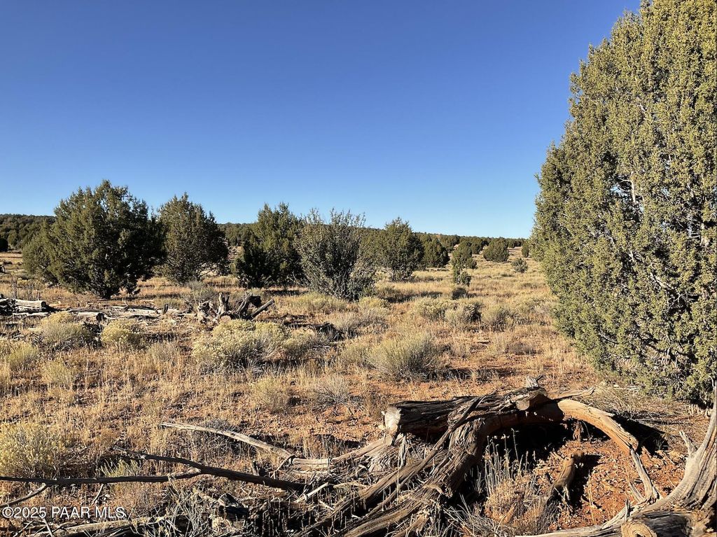 Photo of 886 SE Cable Rd, Williams, AZ 86046 (MLS # 1078358)