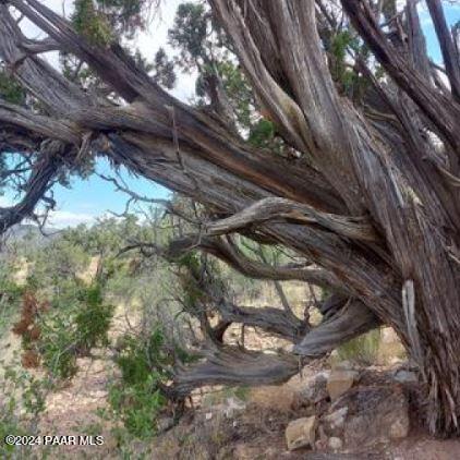 37400 N Big View Trail