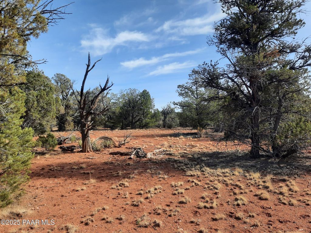 Photo of 55193 N Campana Circle, Seligman, AZ 86337 (MLS # 1078497)