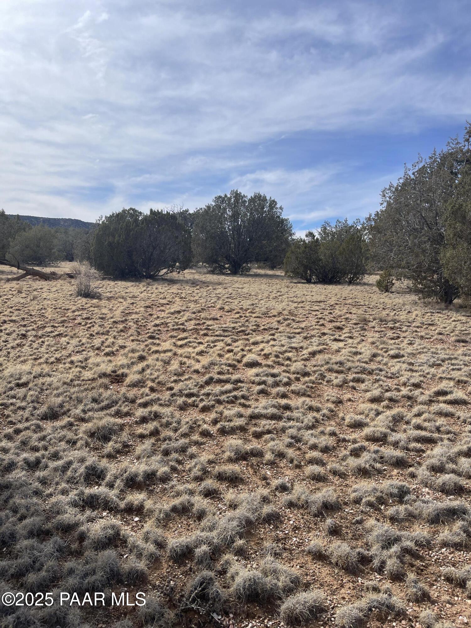 54372 N Via De Oro Parkway