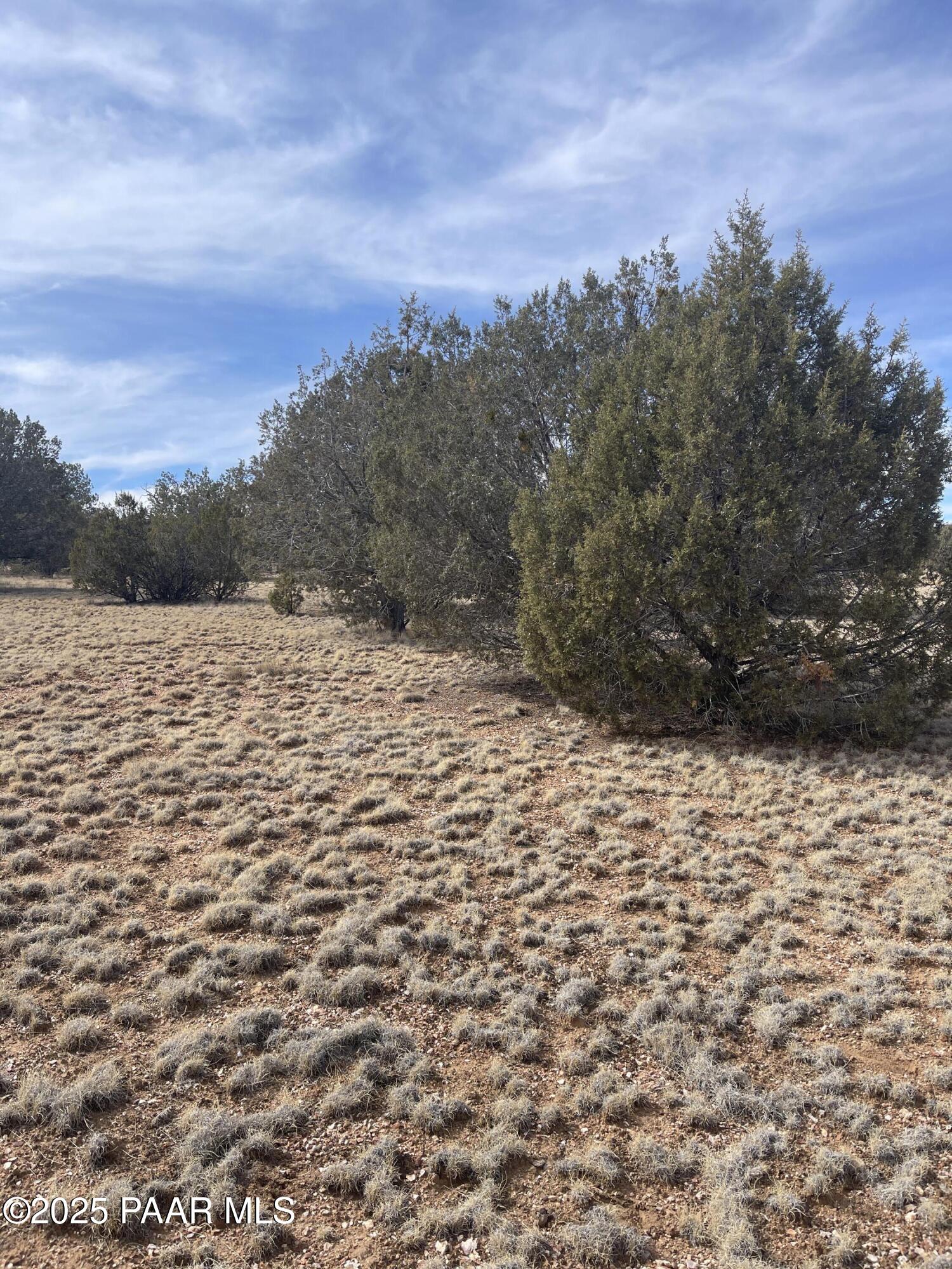 54372 N Via De Oro Parkway