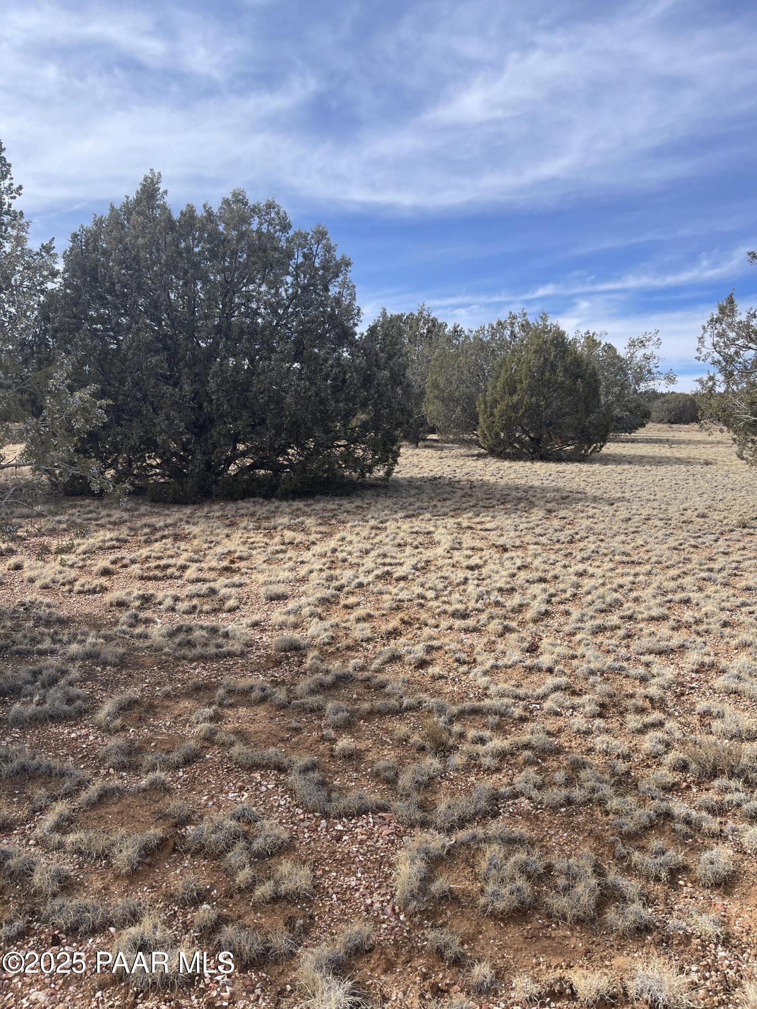 54372 N Via De Oro Parkway