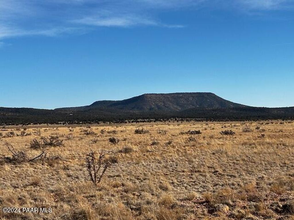 Photo of 1270 Along Way, Seligman, AZ 86337 (MLS # 1078903)