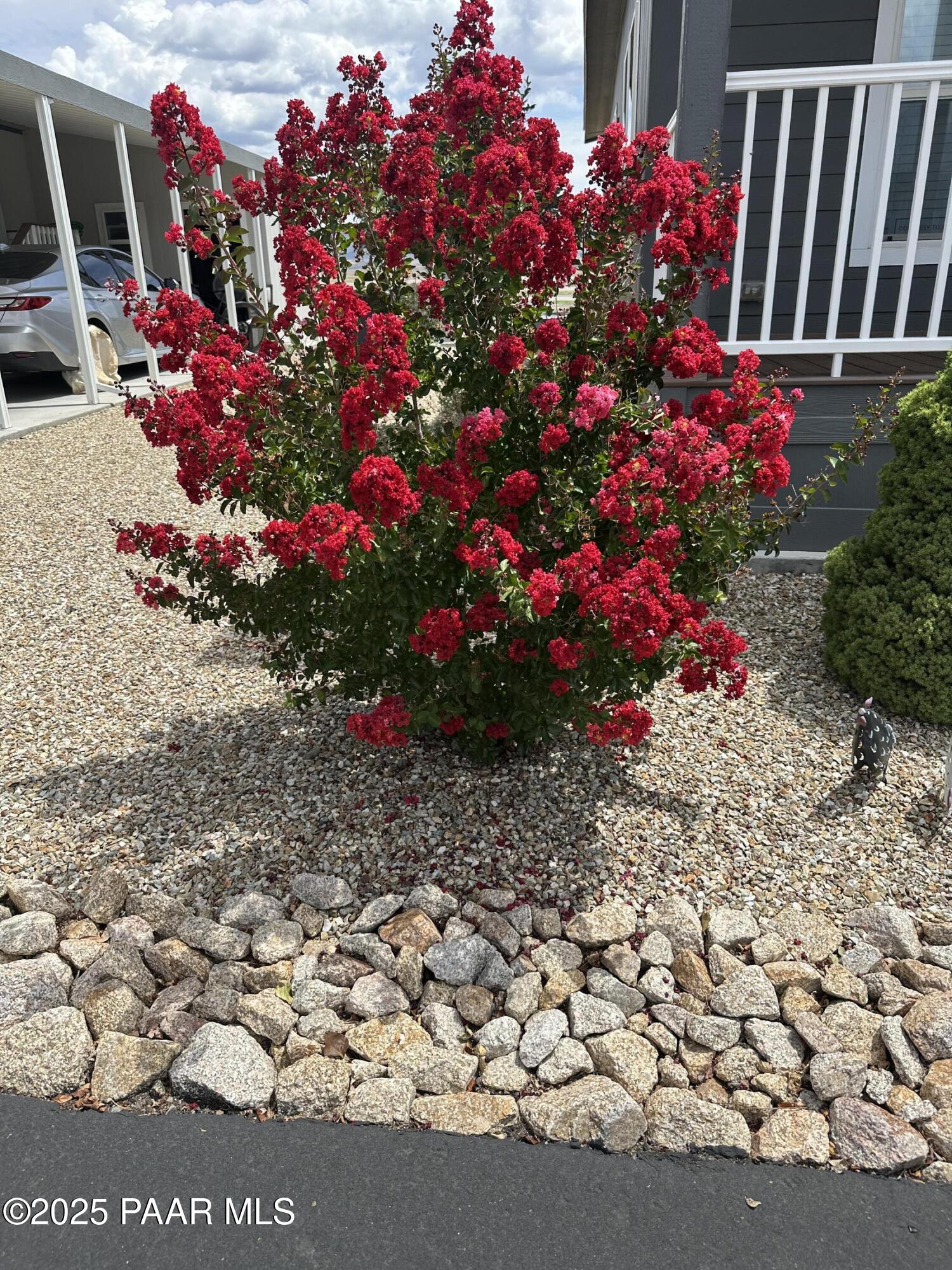 11350 E Sarah Jane Lane 194