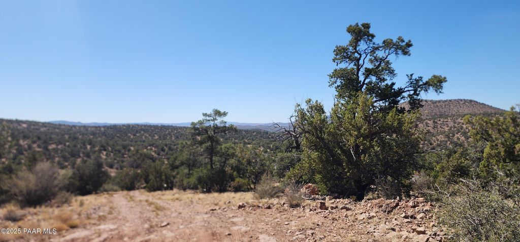 Photo of 363 Big View, Ash Fork, AZ 86320 (MLS # 1076666)