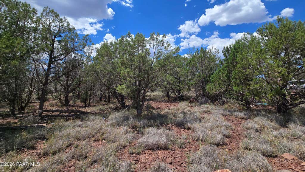 Photo of 2470 N Luana Drive, Williams, AZ 86046 (MLS # 1084155)