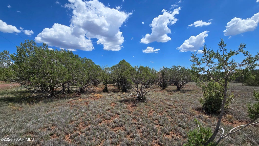 Photo of 2470 N Luana Drive, Williams, AZ 86046 (MLS # 1084155)
