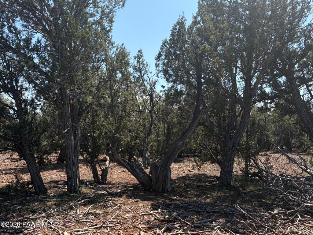 Photo of 00 Sw Nine Shooter Road, Williams, AZ 86046 (MLS # 1085051)