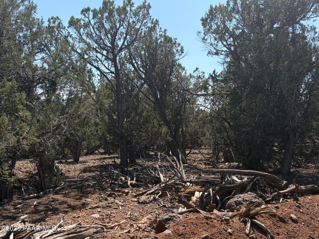 Photo of 00 Sw Nine Shooter Road, Williams, AZ 86046 (MLS # 1085051)