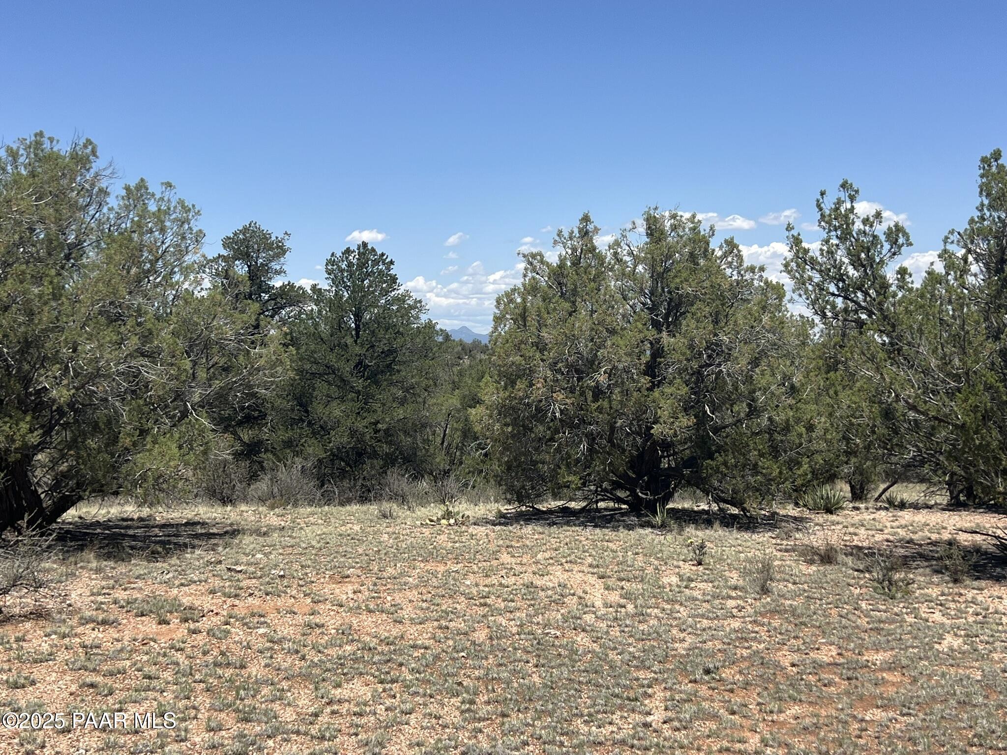 249 W Kings Ranch Road