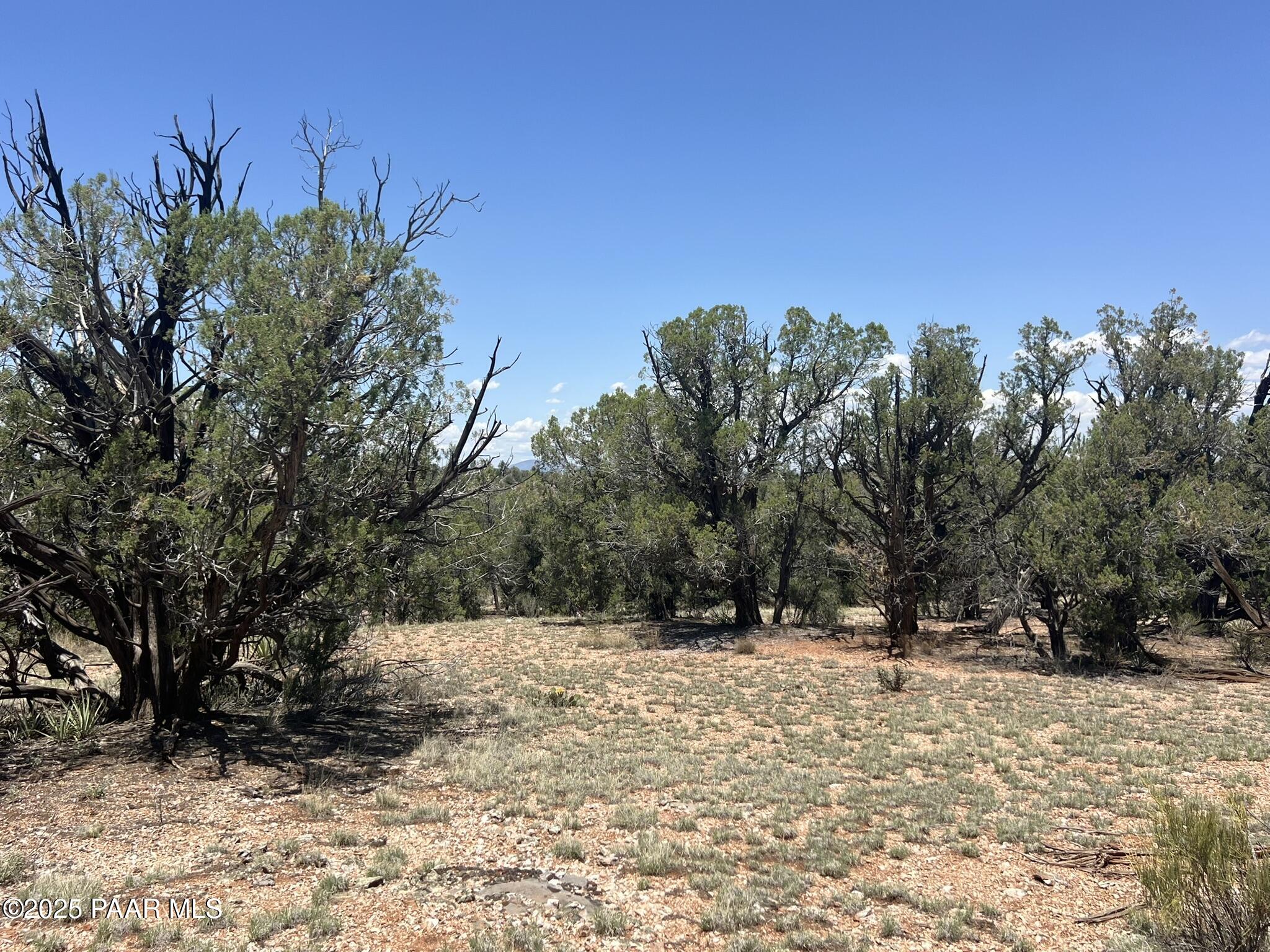 249 W Kings Ranch Road