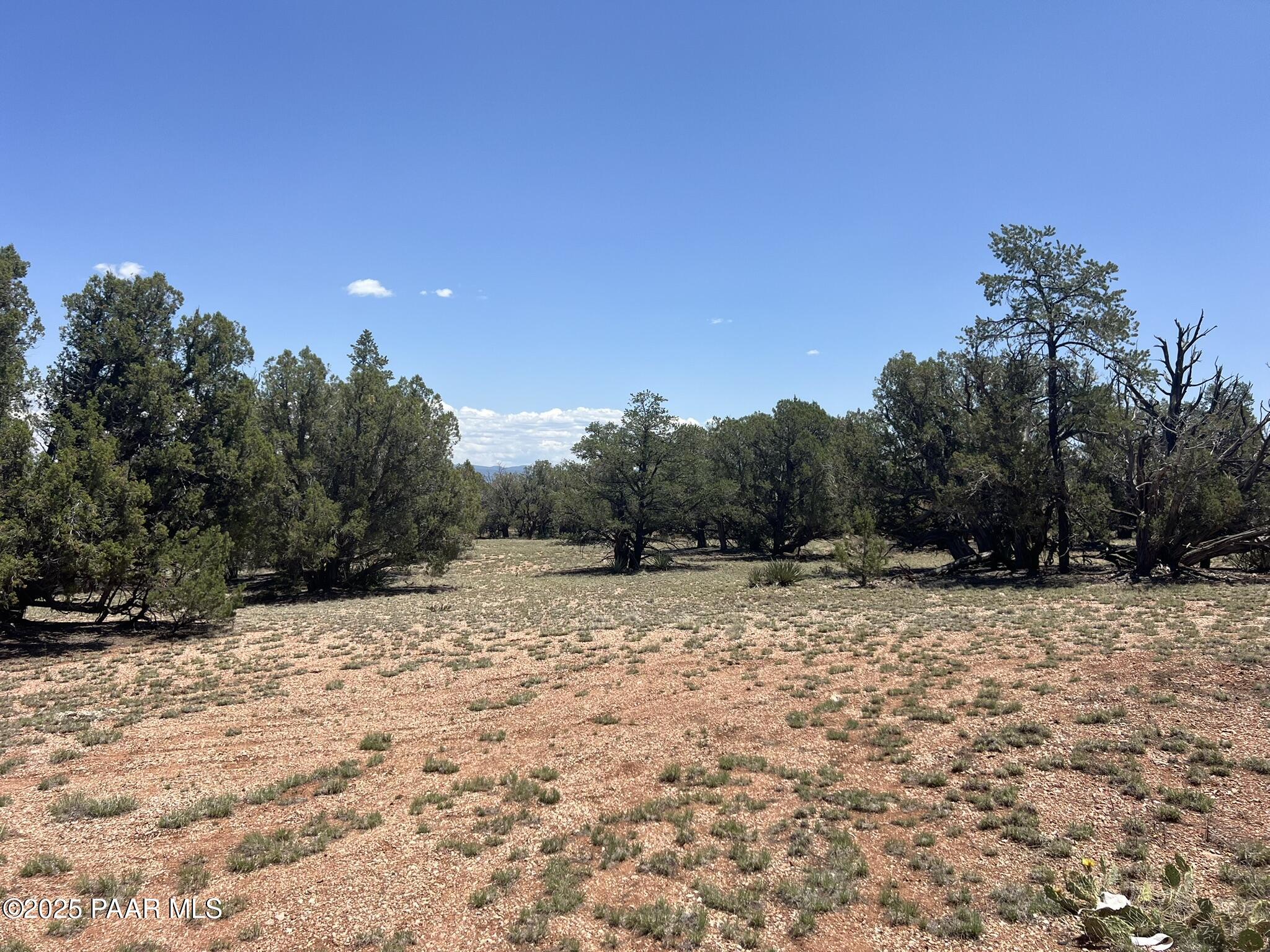 249 W Kings Ranch Road