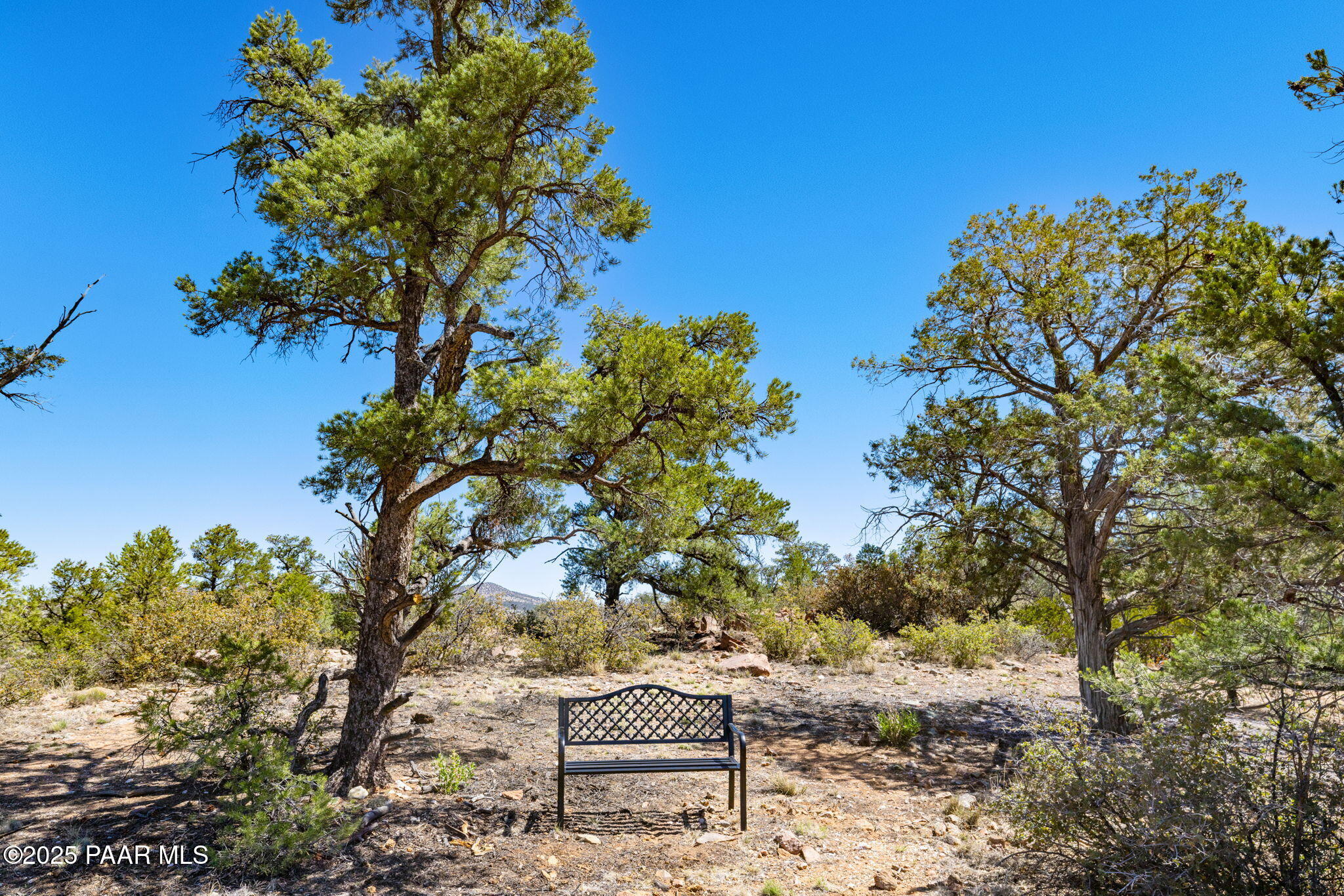 16600 Petroglyph Road