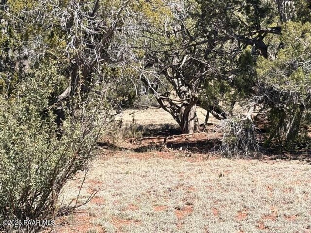 Photo of 159 Circle Drive, Seligman, AZ 86337 (MLS # 1080724)