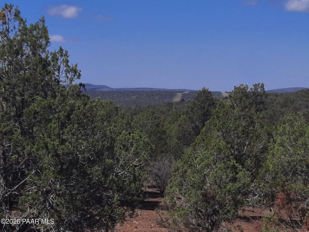 Photo of 860 Fort Rock Road, Seligman, AZ 86337 (MLS # 1082413)