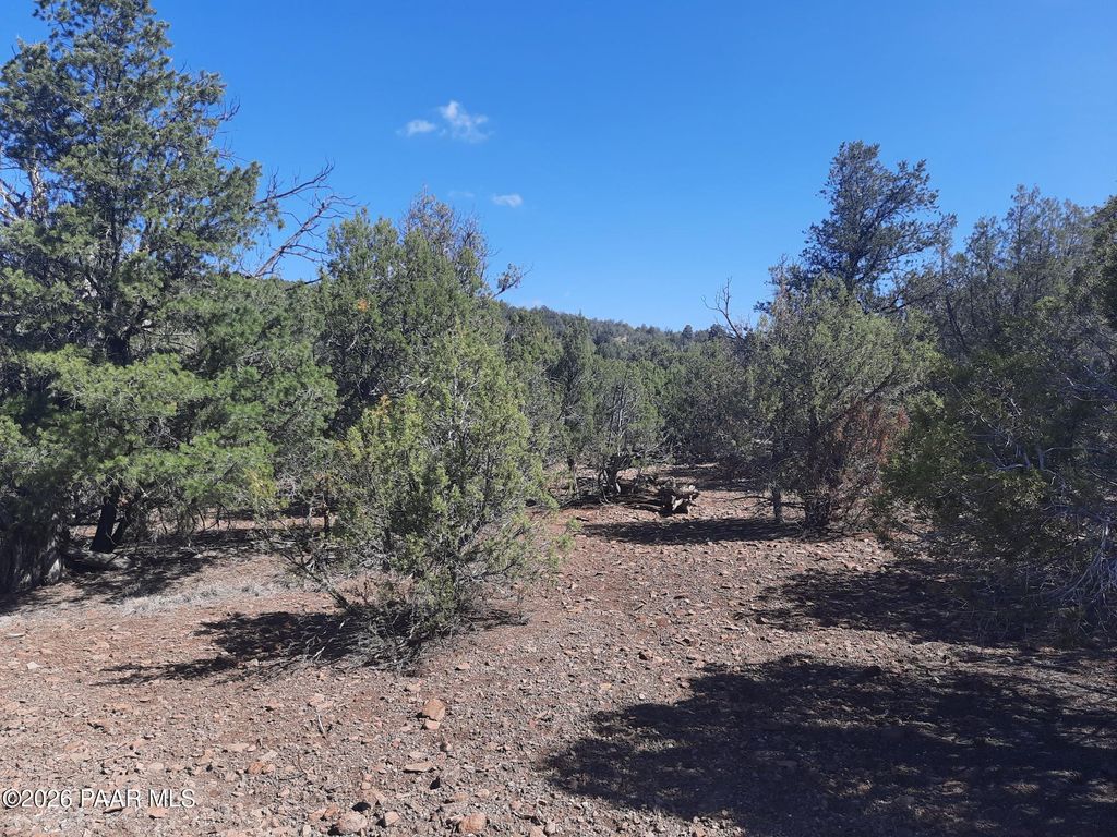 Photo of 860 Fort Rock Road, Seligman, AZ 86337 (MLS # 1082413)